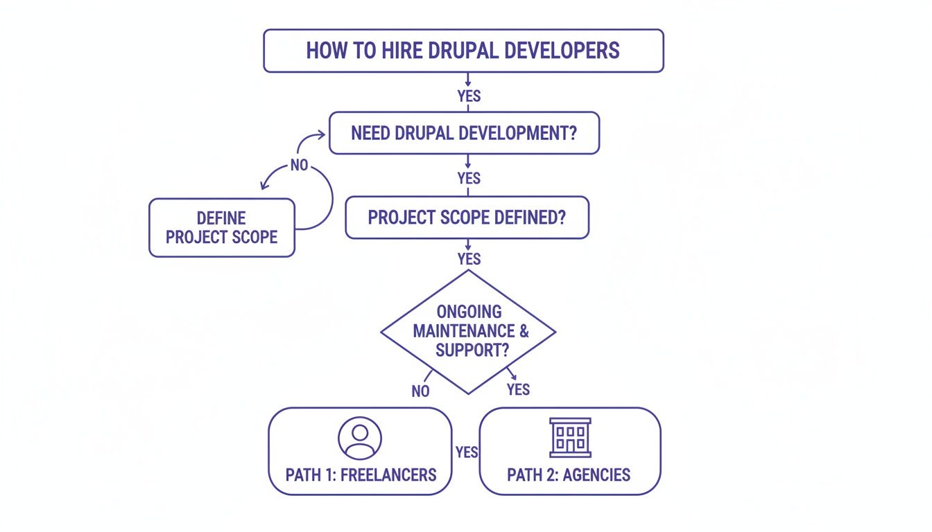 Flowchart illustrating the steps to hire Drupal developers, from defining scope to choosing freelancers or agencies.