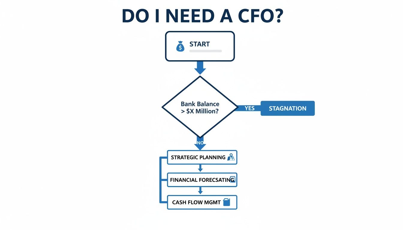 Flowchart titled 'DO I NEED A CFO?' guiding businesses on financial management and CFO necessity.