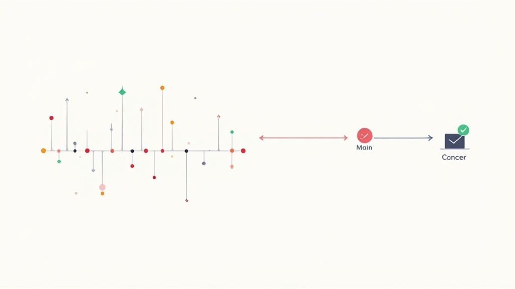 Version Control and Git Questions