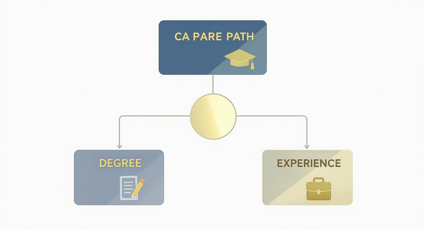 Infographic about requirements to be a paralegal in california