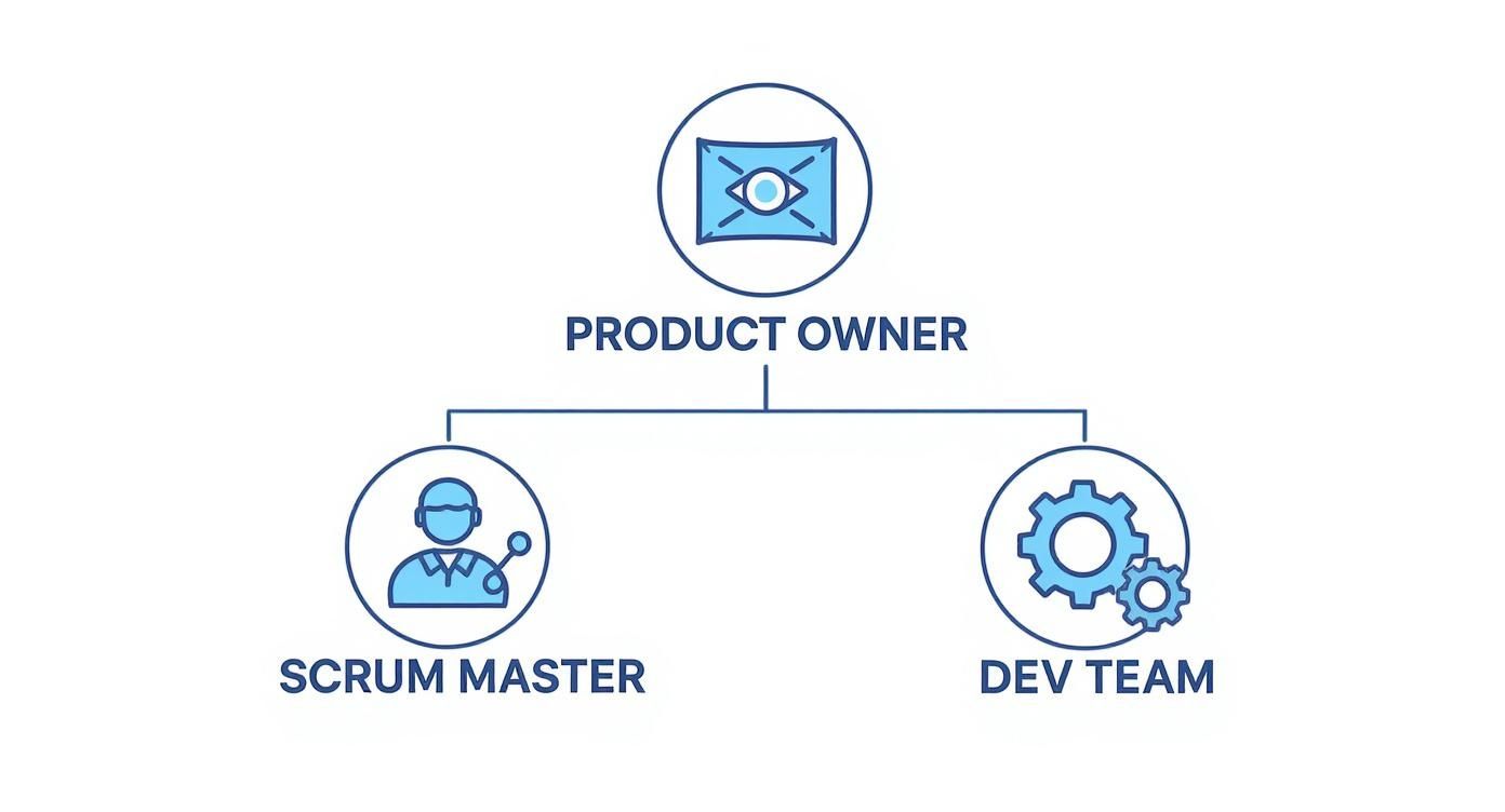 Infographic about roles in agile software development