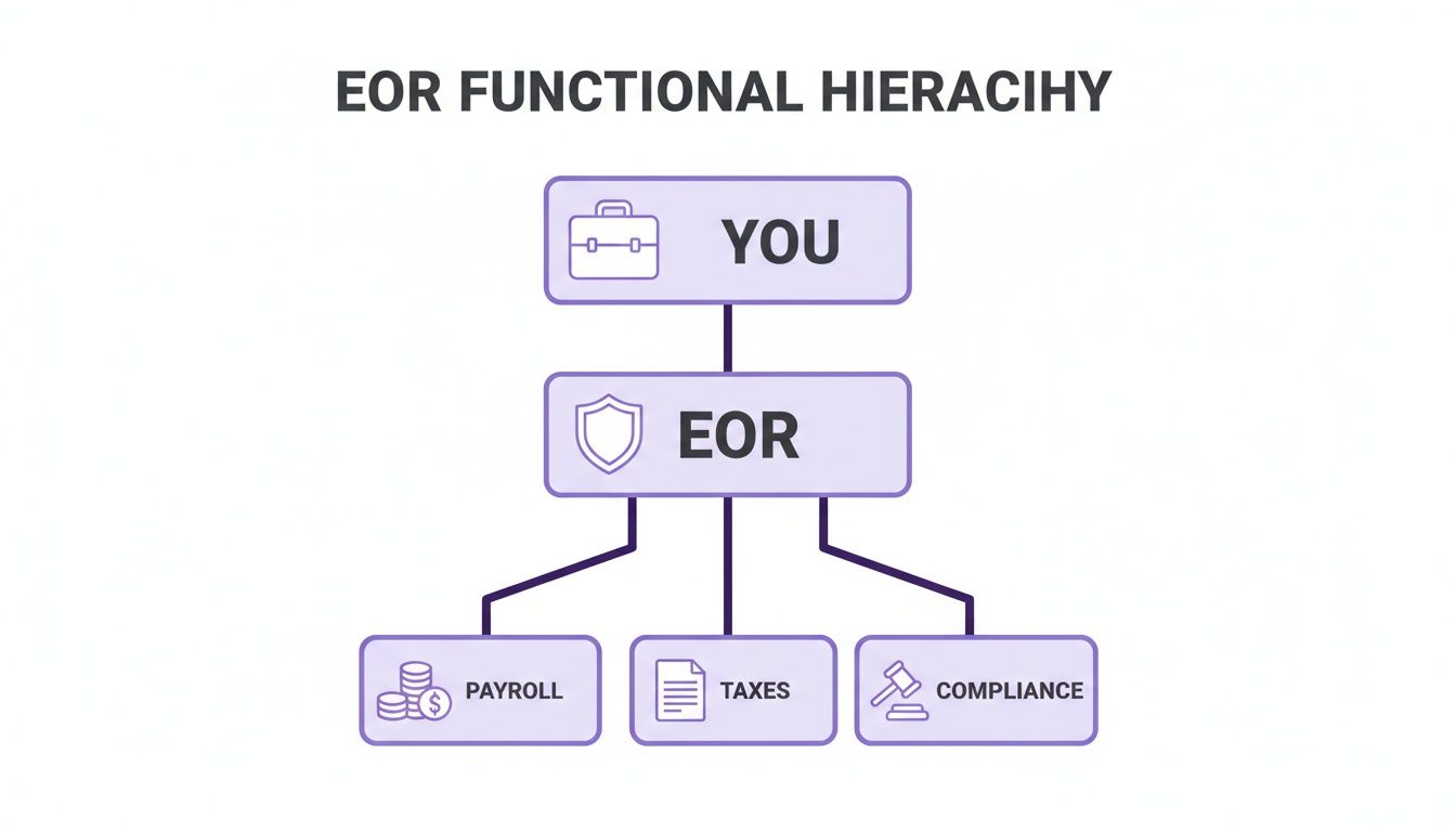 A functional hierarchy diagram illustrating how 'You' delegate to 'EOR' for Payroll, Taxes, and Compliance.