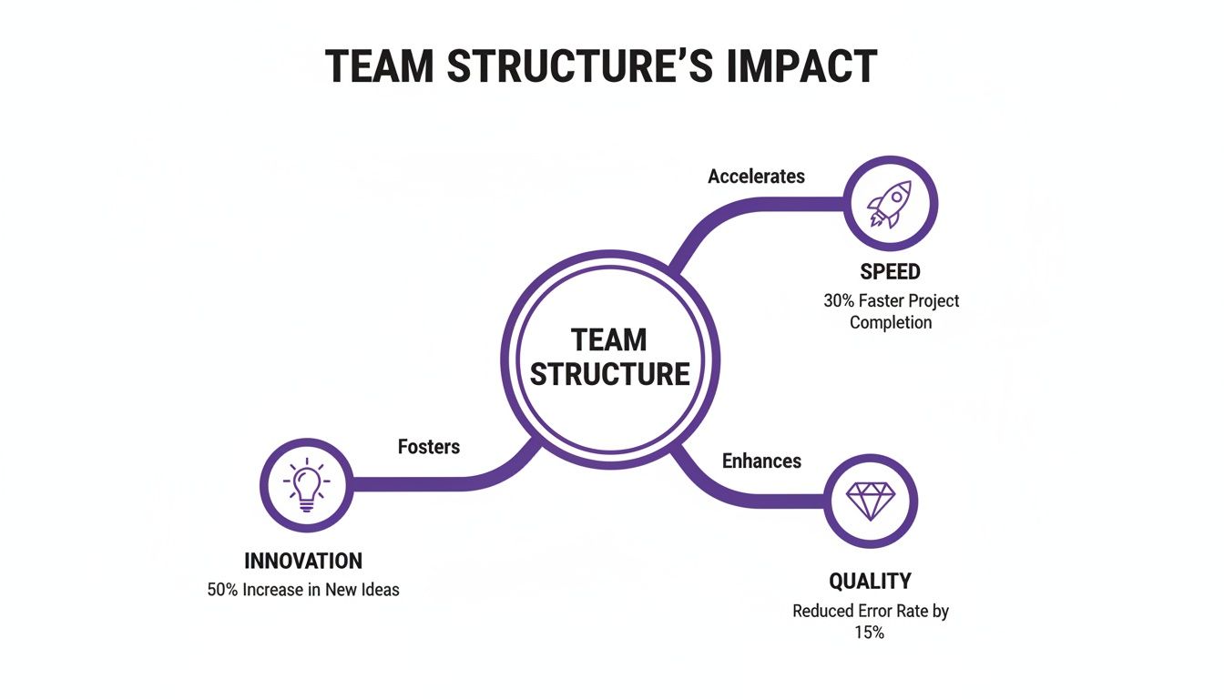 Infographic showing how team structure impacts innovation, speed, and quality in projects.