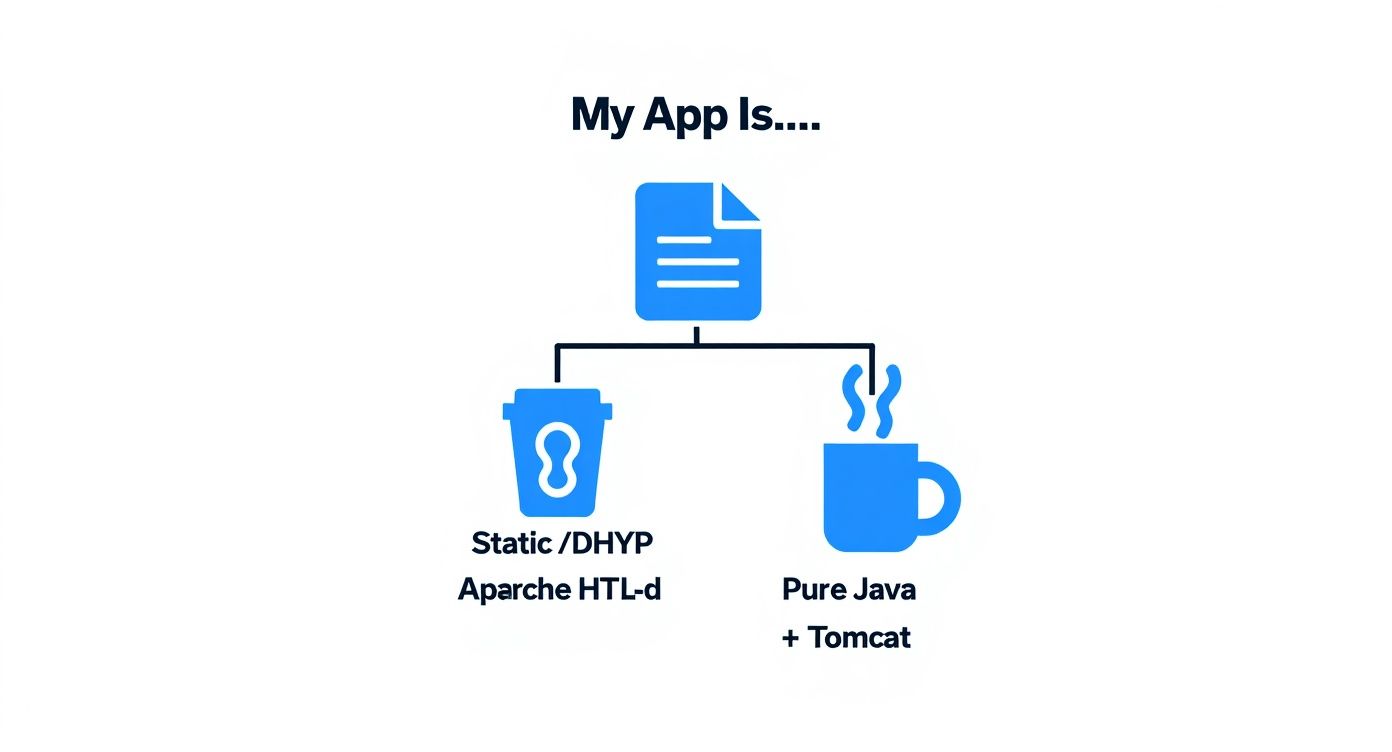 Infographic decision tree about choosing between Apache HTTP Server and Apache Tomcat based on application type.