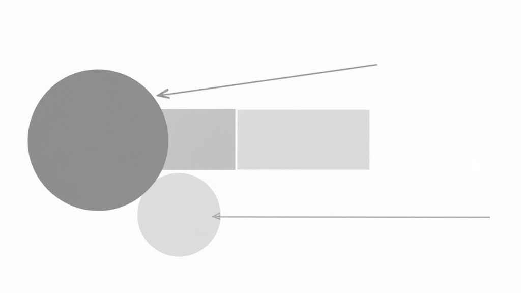 Establish Visual Hierarchy and Guide Viewer Attention