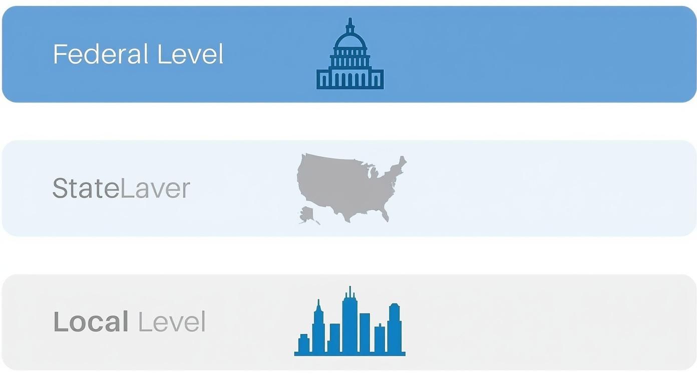 Diagram showing federal, state, and local government levels with corresponding icons.