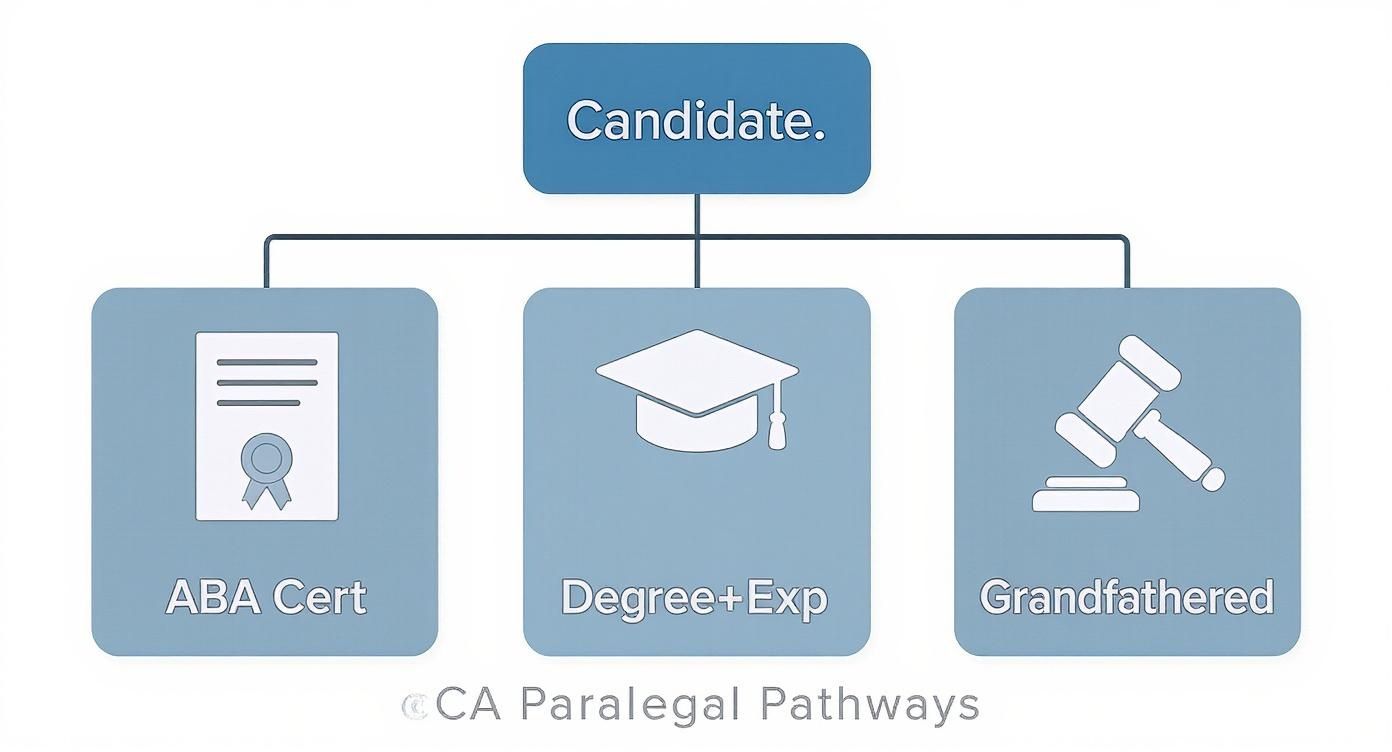 Infographic about paralegal california requirements