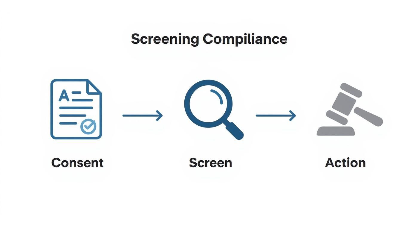 Pre employment screening compliance workflow showing consent, screen, and action steps with icons