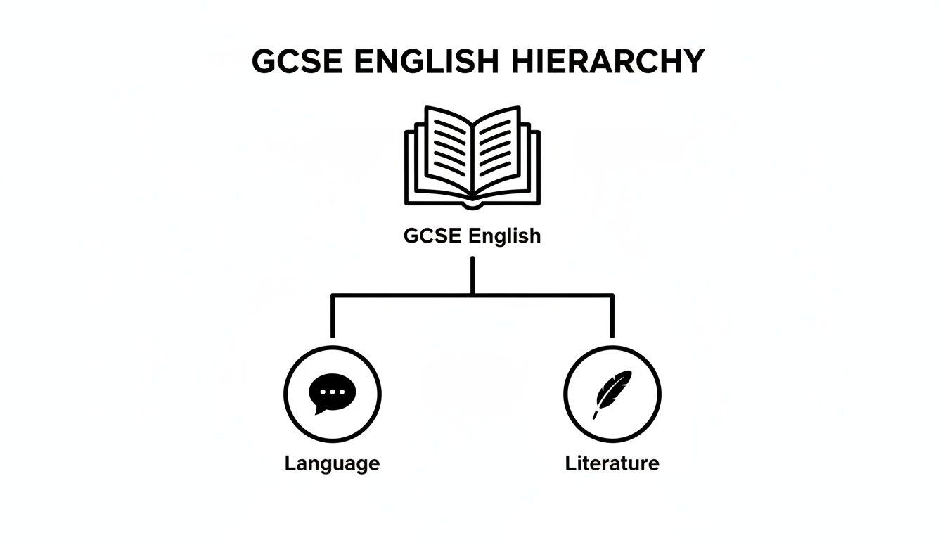 A clear diagram illustrating the GCSE English hierarchy, showing it divides into Language and Literature subjects.