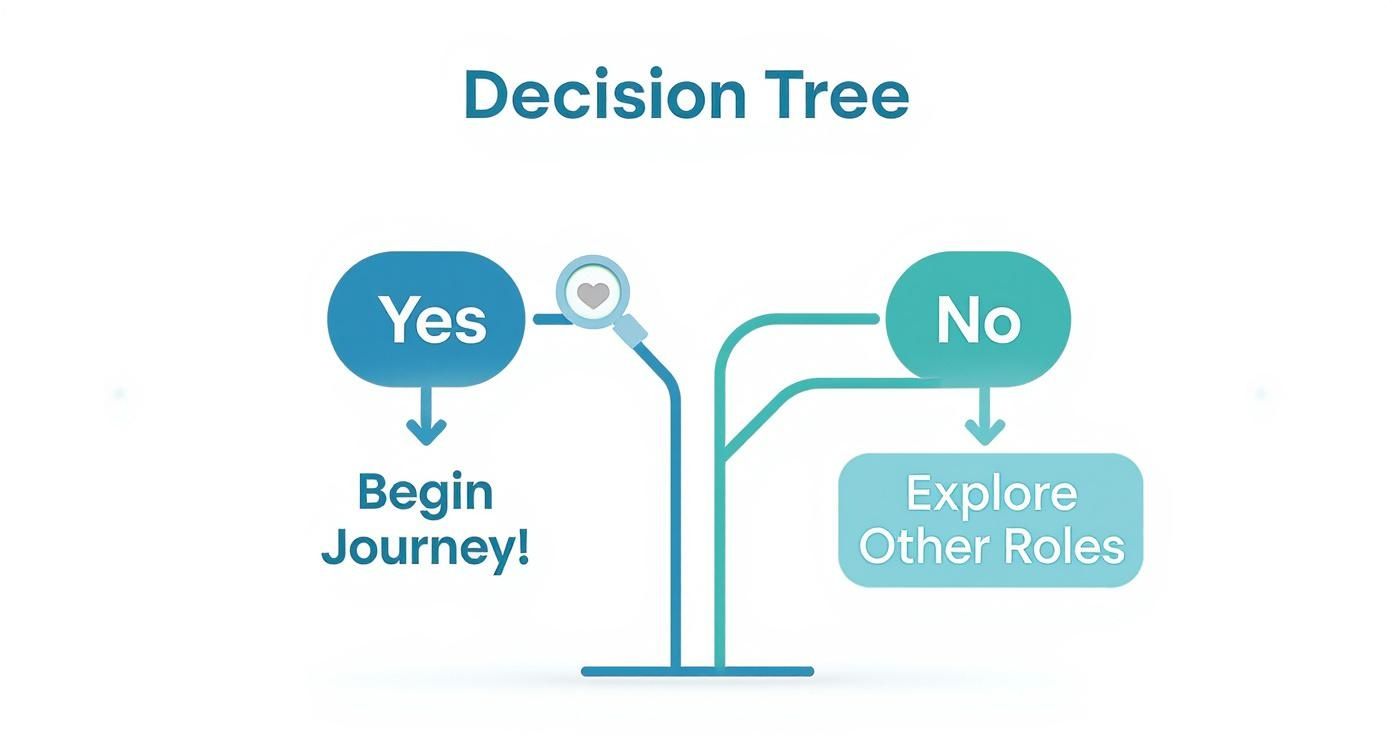 Infographic about how to become a nurse