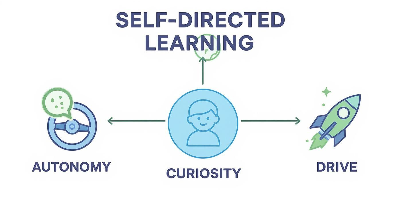 Self-directed learning diagram showing three interconnected components: autonomy, curiosity, and drive with illustrative icons