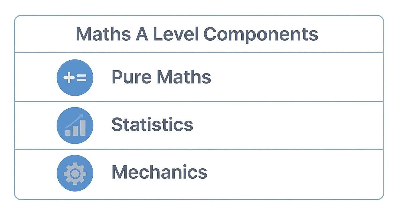 Infographic about online maths a level