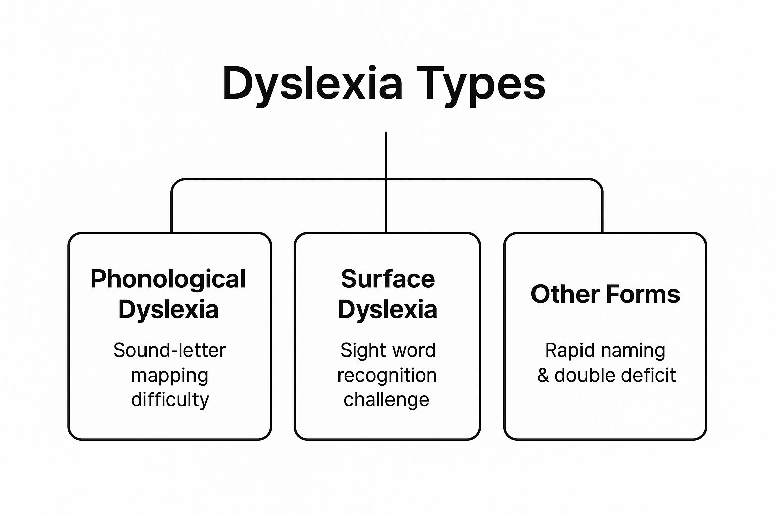 Infographic about dyslexia different types