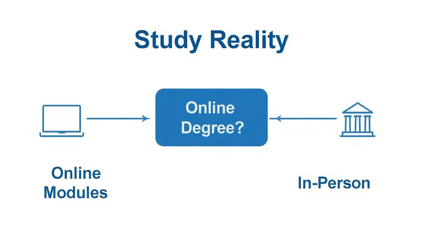 Diagram showing online degree study reality comparison between online modules and in-person learning