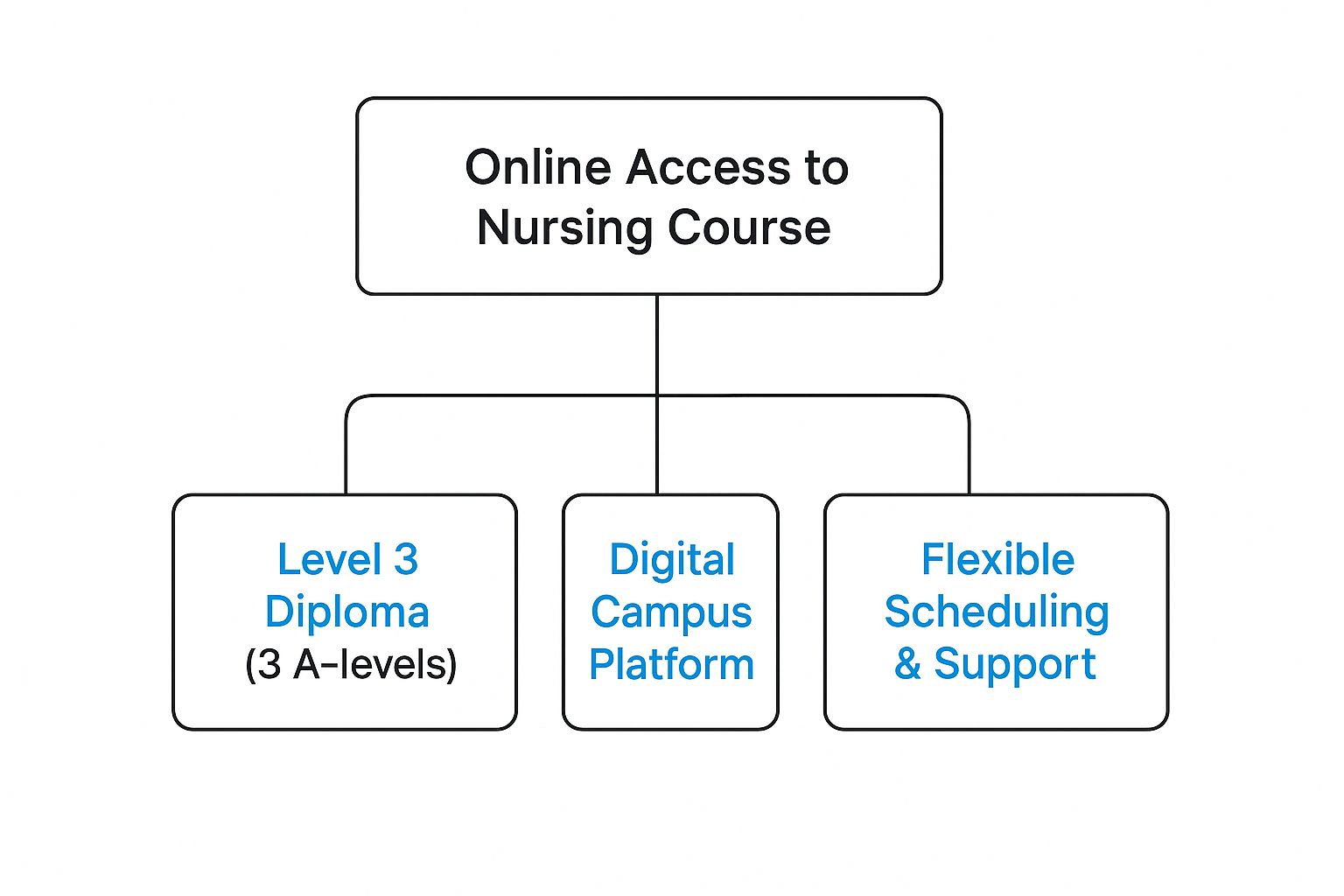 Infographic about access to nursing courses online