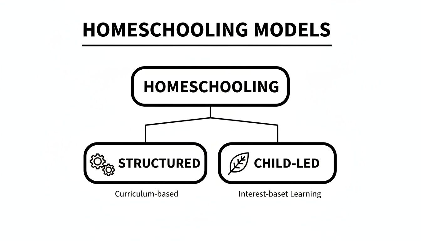 Diagram illustrating homeschooling models: structured (curriculum-based) and child-led (interest-based learning).