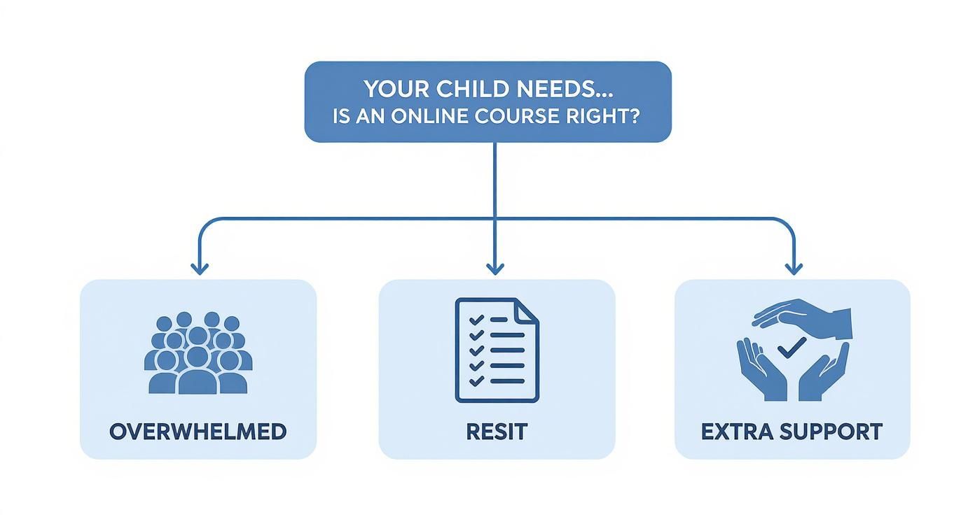 Infographic about english gcse online courses