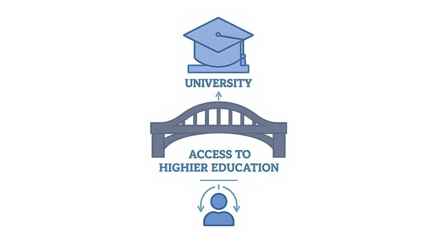 Infographic about access to he courses online
