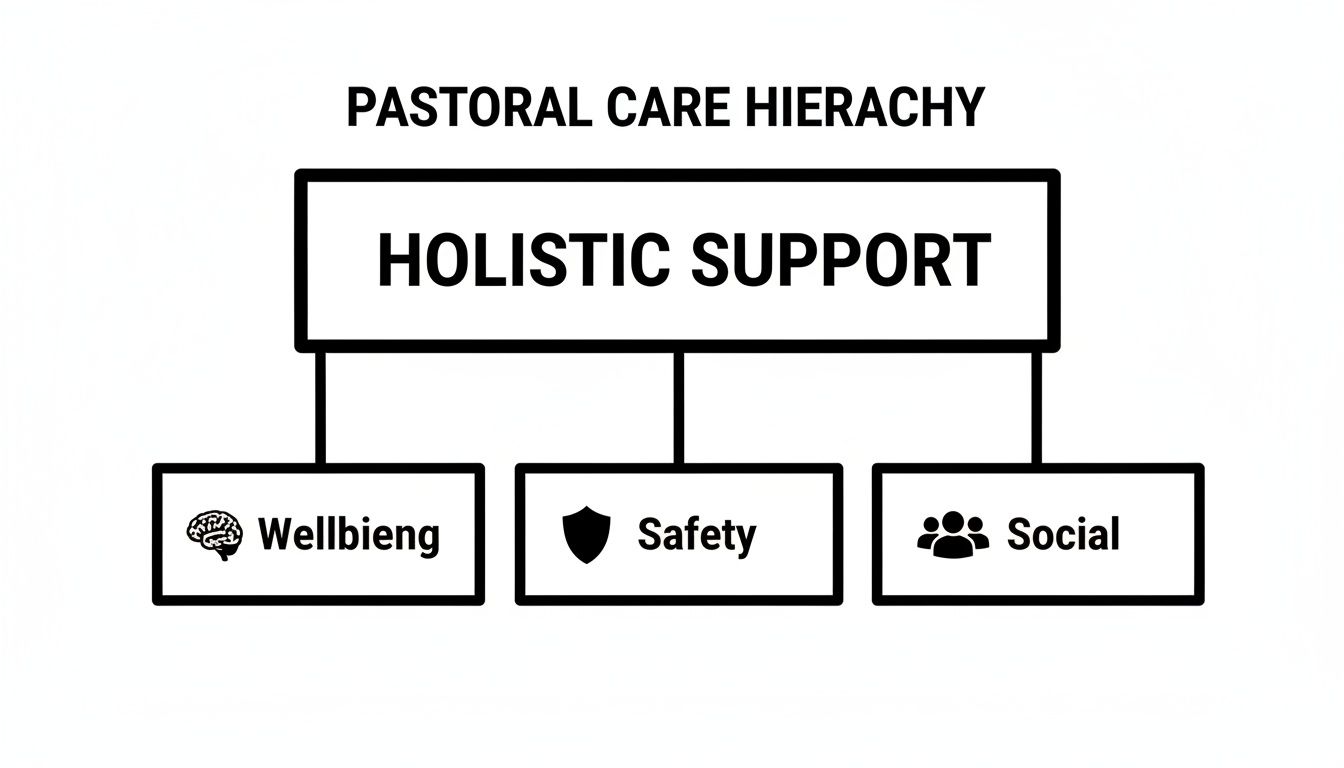 A pastoral care hierarchy diagram showing holistic support broken down into wellbeing, safety, and social aspects.
