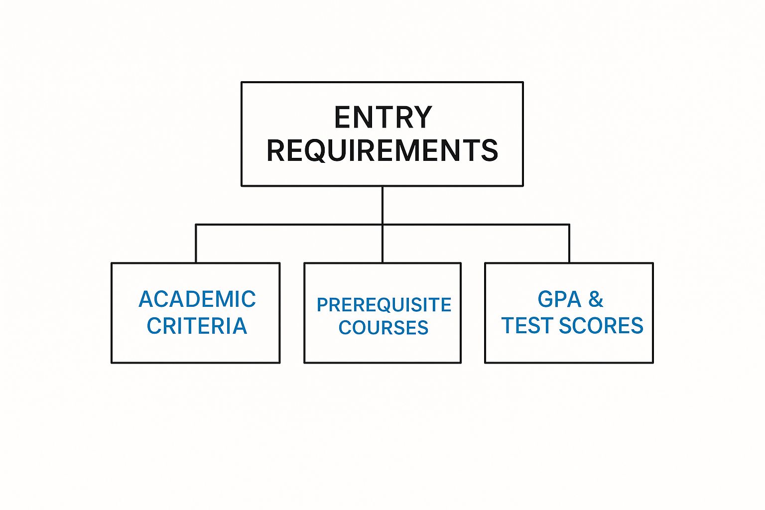 Infographic about nursing degree entry requirements