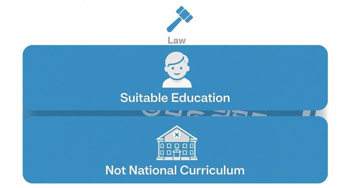 Infographic about homeschooling syllabus uk