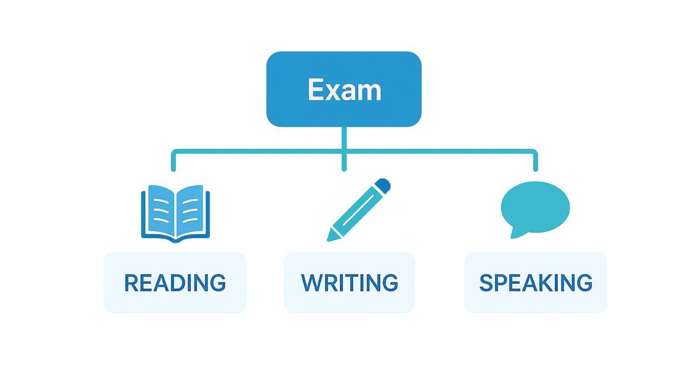Diagram showing an exam structure with Reading, Writing, and Speaking as key components.