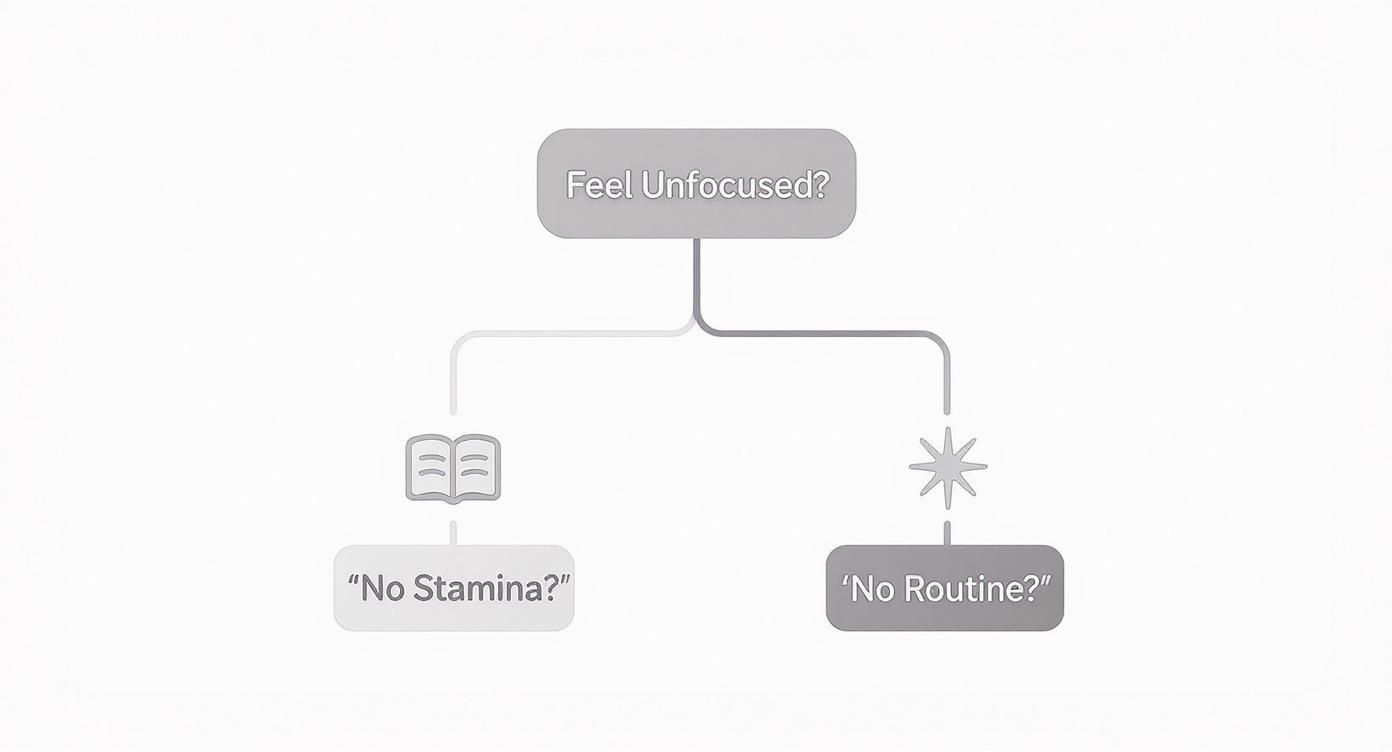 A diagram illustrating reasons for feeling unfocused, suggesting lack of stamina or routine.
