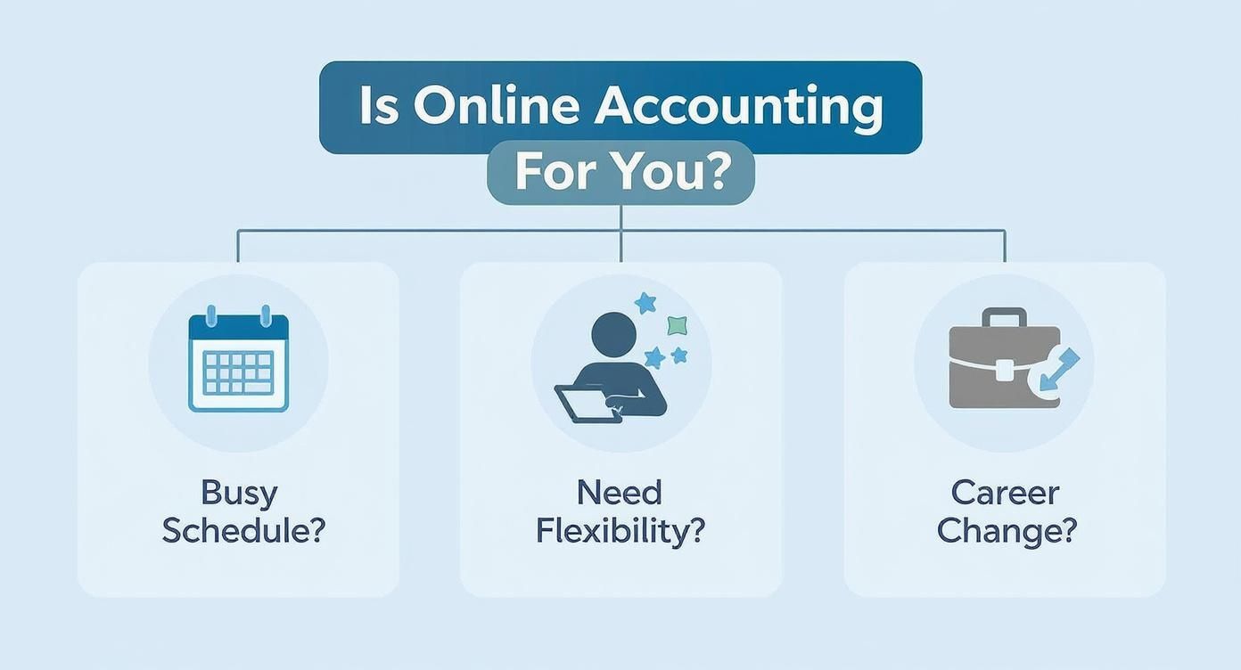 Infographic about online accounting courses uk
