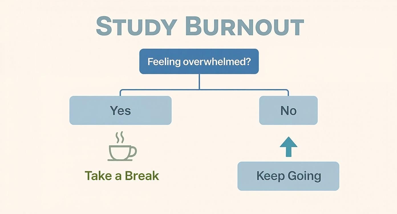 Infographic decision tree for study burnout. Question 'Feeling overwhelmed?' leads to 'YES - Take a Break' or 'NO - Keep Going'.