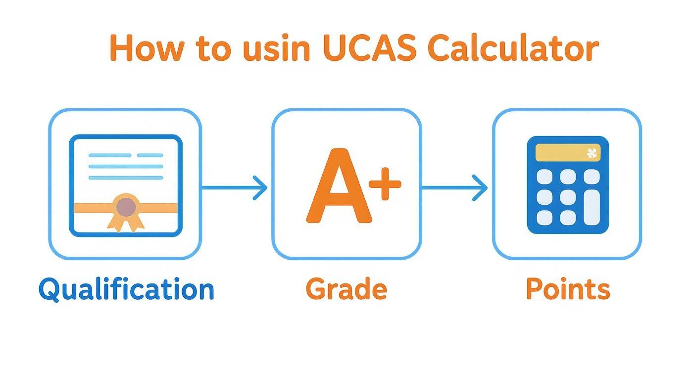 Three-step visual guide showing how to use UCAS calculator: qualification, grade, and points calculation