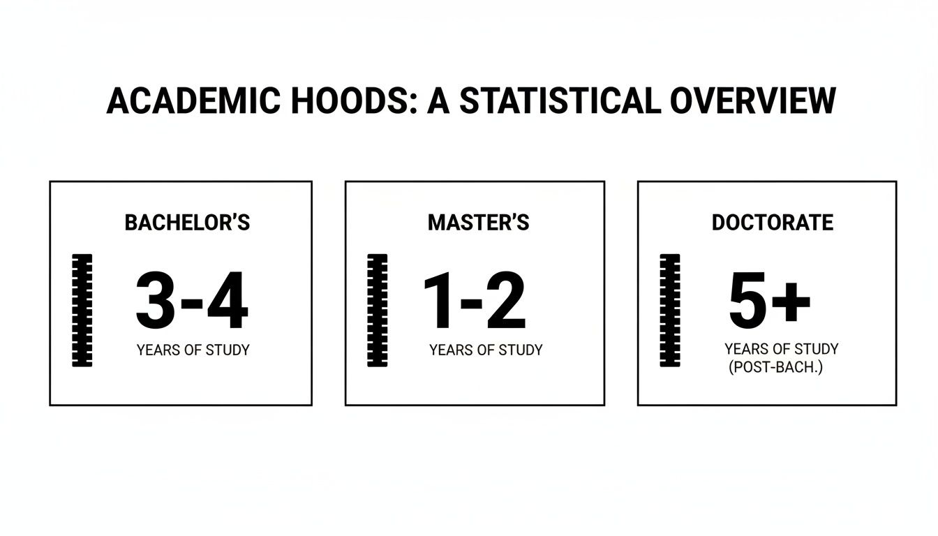 Academic hoods overview showing years of study for Bachelor's, Master's, and Doctorate degrees.