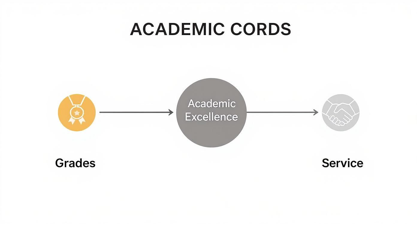 Infographic about graduation honor cords color meaning