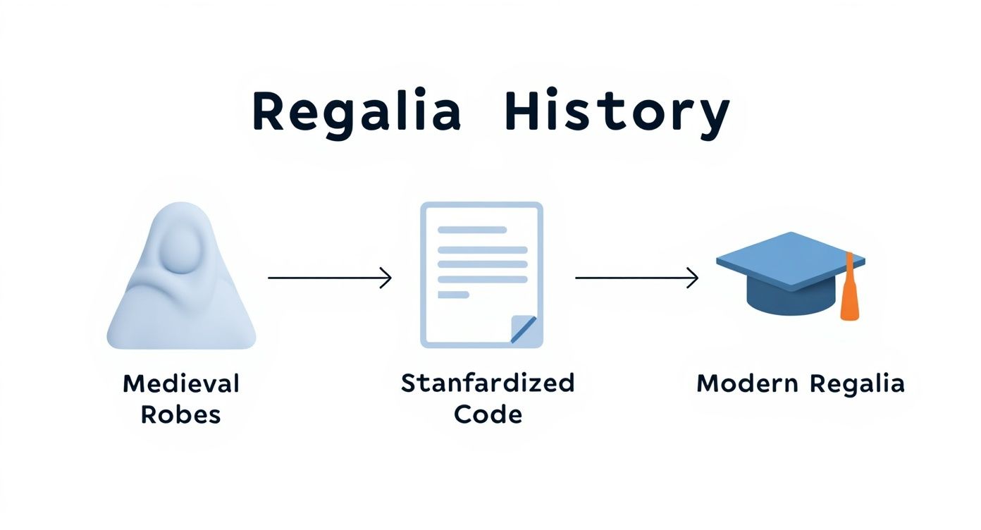 Infographic about masters degree regalia