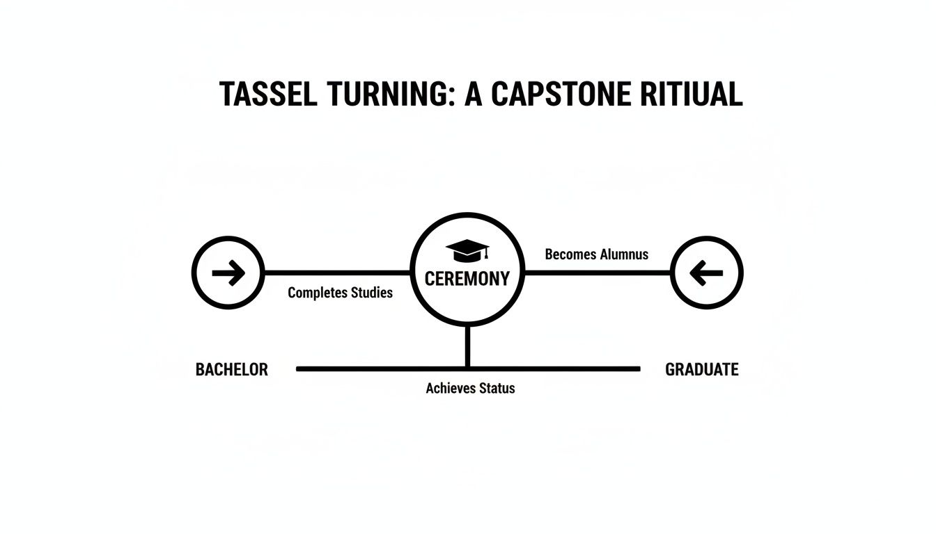 Diagram illustrating the graduation ceremony as a capstone ritual for students completing studies and becoming alumni.