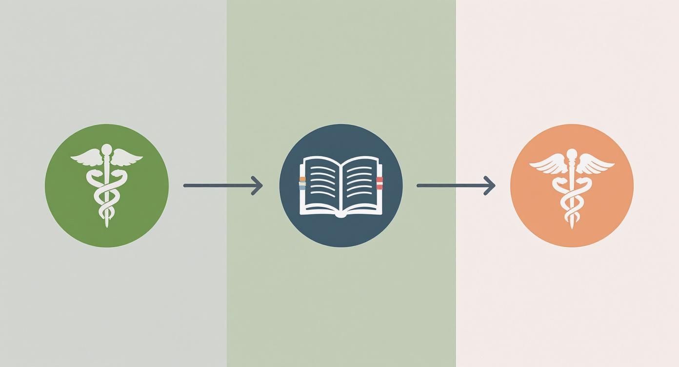 Infographic showing the link between doctoral fields like Medicine, Philosophy, and Nursing and their respective stole colors and icons.