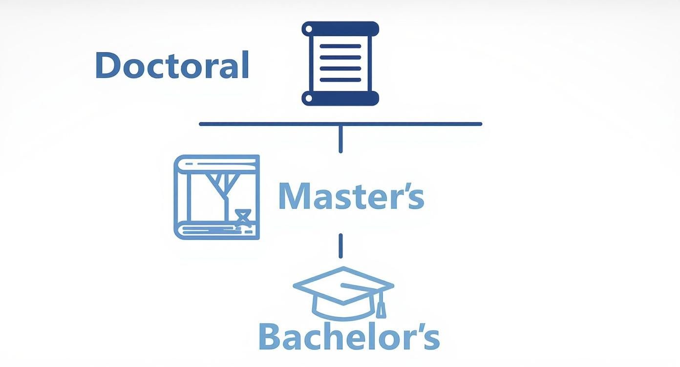 A diagram illustrating the academic degree progression: Doctoral, Master's, and Bachelor's levels.