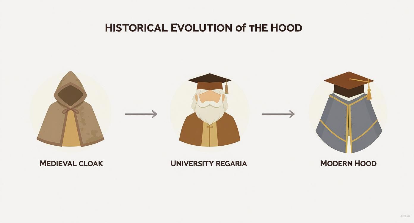 Infographic about what is a hood for graduation