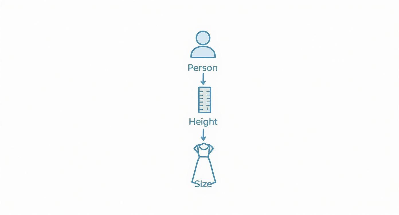 Flowchart illustrating the relationship between a person's height and their clothing size.