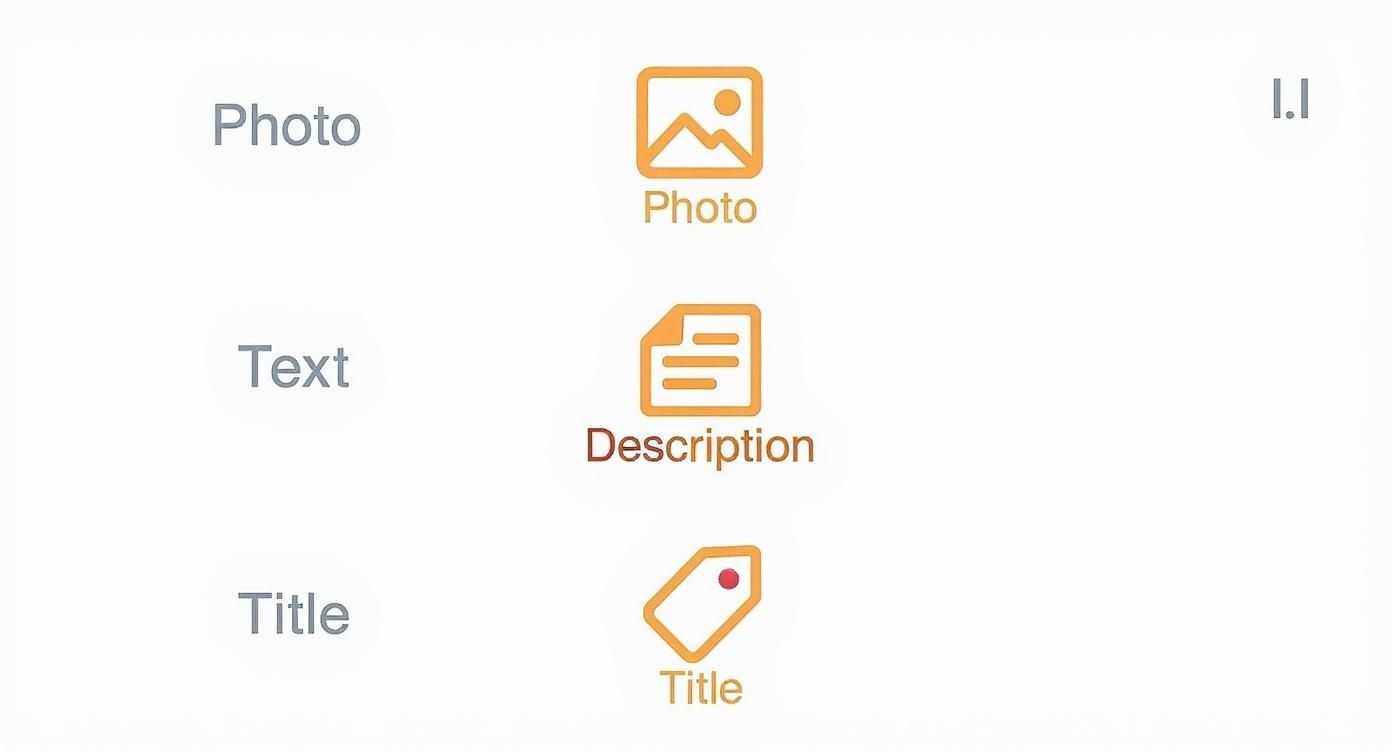 Infographic about how to sell collectibles online