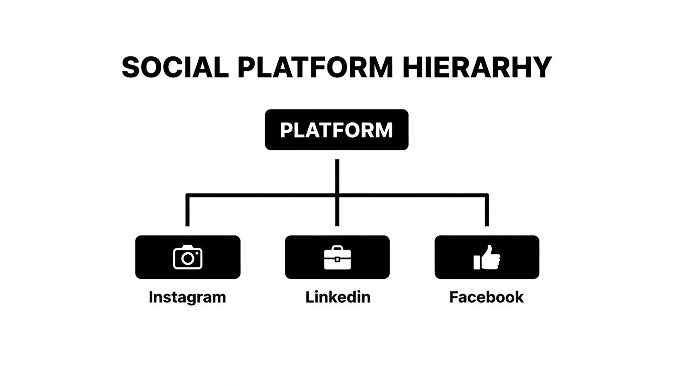 A social platform hierarchy chart displaying Instagram, LinkedIn, and Facebook branching from a 'Platform' header.