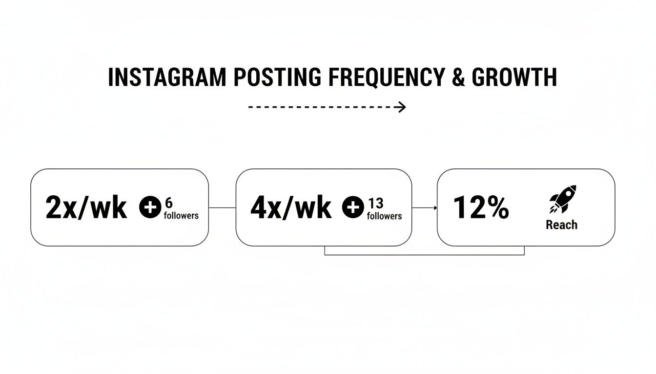 Infographic showing Instagram posting frequency leading to follower growth and increased reach.