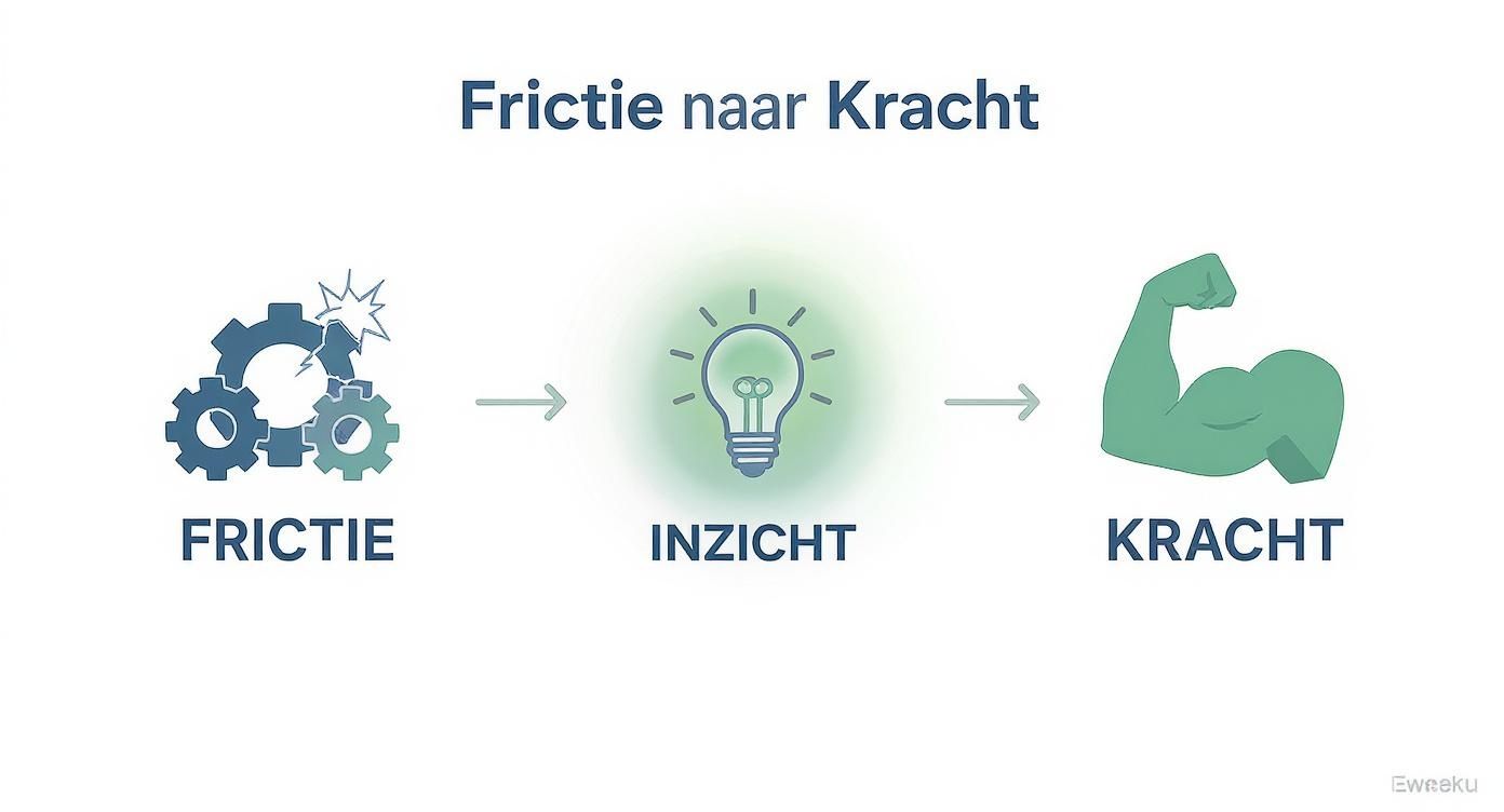 Diagram dat de overgang van frictie, via inzicht, naar kracht visualiseert.