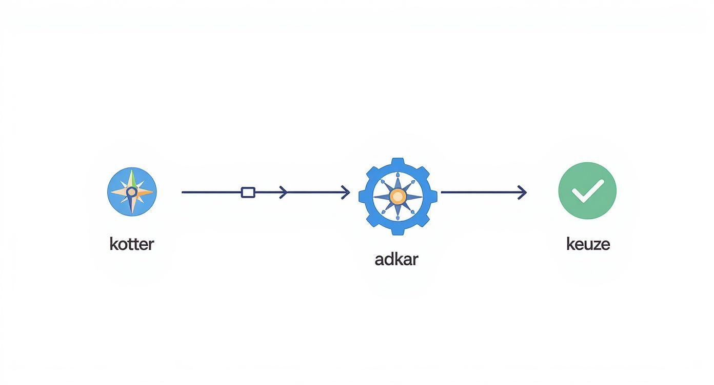 Infographic about verandering in organisatie