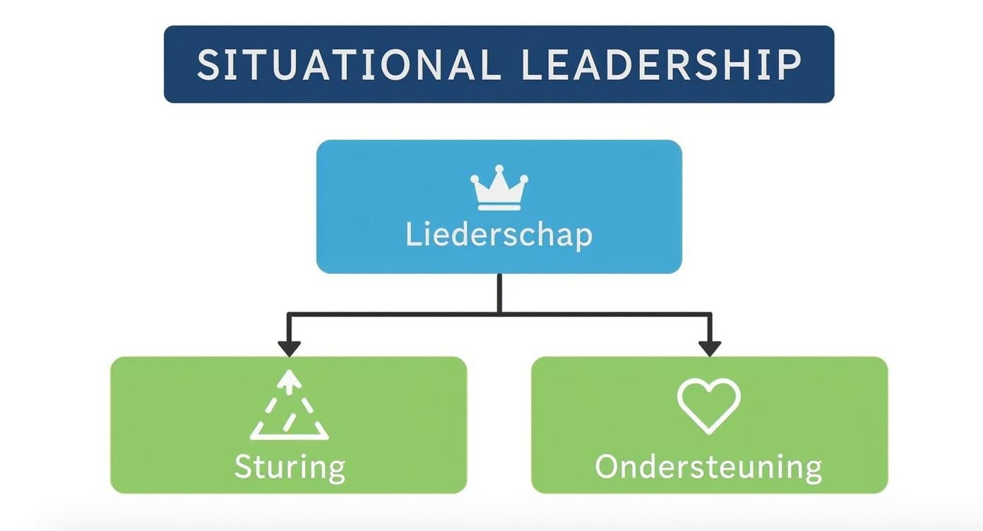 Screenshot from https://upload.wikimedia.org/wikipedia/commons/thumb/f/f7/Situational_leadership_model-2.svg/1200px-Situational_leadership_model-2.svg.png