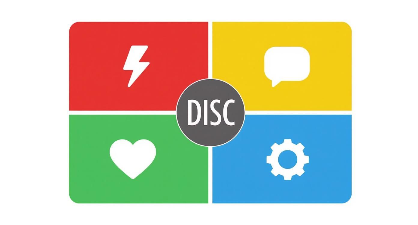 Infographic about DISC workshop communicatie