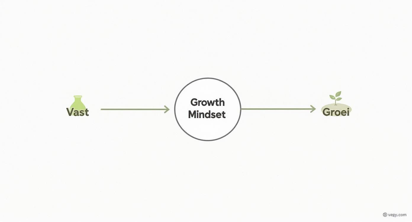 Infographic about wat is een growth mindset