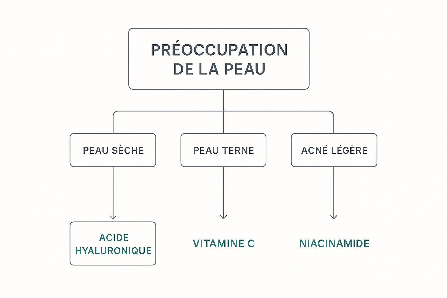 Infographic about sérum hydratant visage