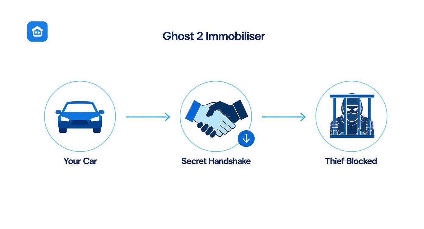 Infographic about ghost 2 immobiliser reviews
