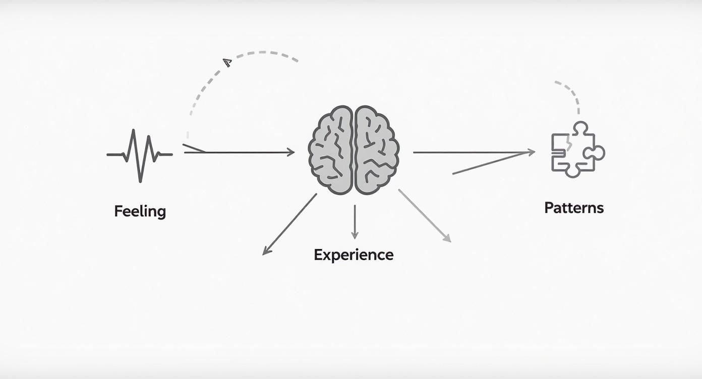 Flowchart illustrating how feelings are processed by the brain to form experiences and ultimately patterns.