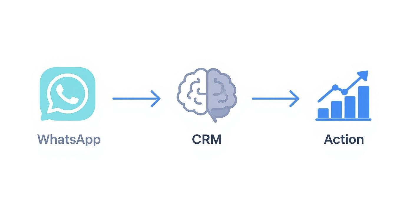 Diagram illustrating WhatsApp data processed by CRM leading to business actions and growth.